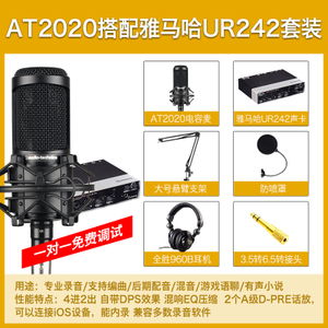 Audio Technica/铁三角 at2020-BK-UR242