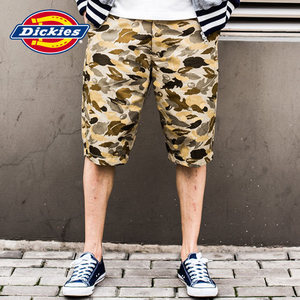 Dickies 161M40EC05