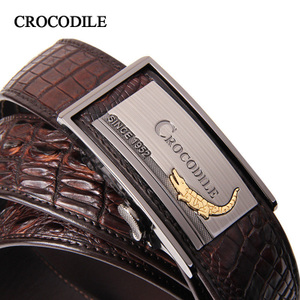 Crocodile/鳄鱼恤 616525-283