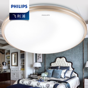 Philips/飞利浦 33364-22W-4times-7times0.6W