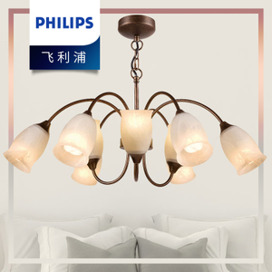 Philips/飞利浦 31201-22W-4times-9times0.56W