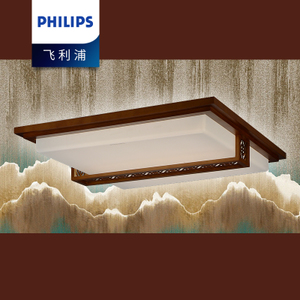 Philips/飞利浦 31201-22W-4times-9times0.56W