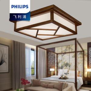 Philips/飞利浦 31201-22W-4times-9times0.56W