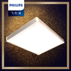 Philips/飞利浦 31201-22W-4times-9times0.56W