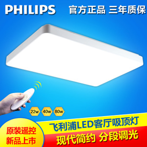 Philips/飞利浦 31201-22W-4times-9times0.56W