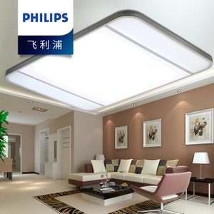 Philips/飞利浦 31201-22W-4times-9times0.56W