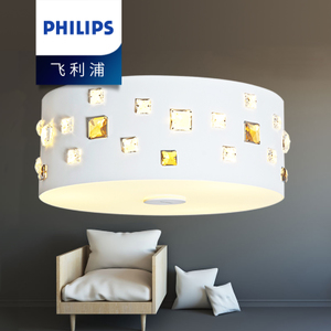 Philips/飞利浦 31201-22W-4times-9times0.56W