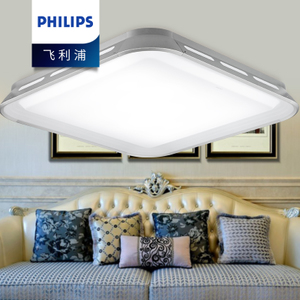 Philips/飞利浦 31201-22W-4times-9times0.56W