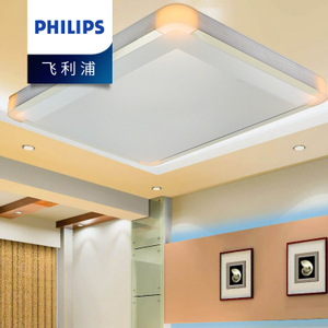 Philips/飞利浦 31201-22W-4times-9times0.56W