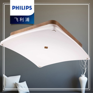 Philips/飞利浦 31201-22W-4times-9times0.56W