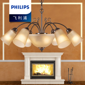 Philips/飞利浦 31201-22W-4times-9times0.56W