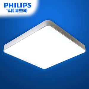 Philips/飞利浦 31201-22W-4times-9times0.56W