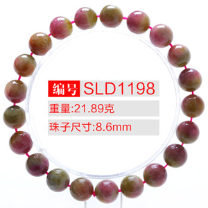 SLD1198