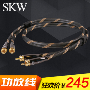 SKW SK1606009