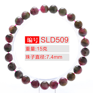 SLD509