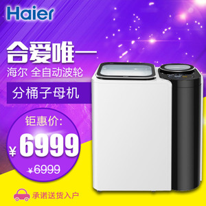 Haier/海尔 FMS100-B261...