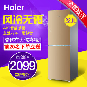 Haier/海尔 BCD-221WDPT