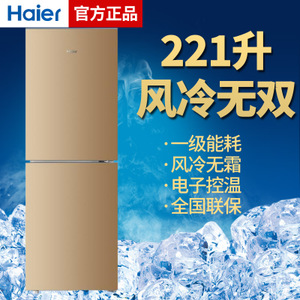 Haier/海尔 BCD-221WDPT