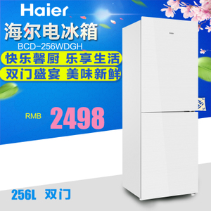 Haier/海尔 BCD-256WDGH