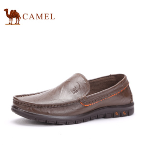 Camel/骆驼 2211179