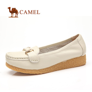 Camel/骆驼 1005025