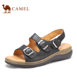 Camel/骆驼 1326034