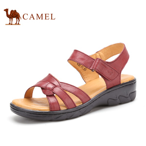 Camel/骆驼 1326029