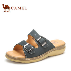 Camel/骆驼 1326036