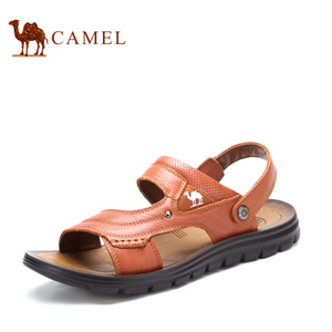 Camel/骆驼 2211204