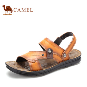 Camel/骆驼 2287104