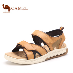 Camel/骆驼 2060208
