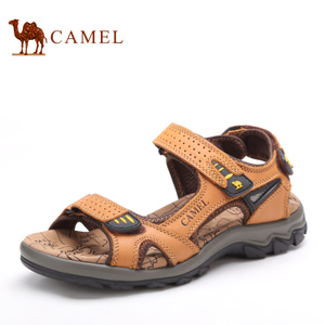 Camel/骆驼 2307117