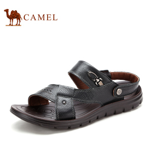 Camel/骆驼 2211208