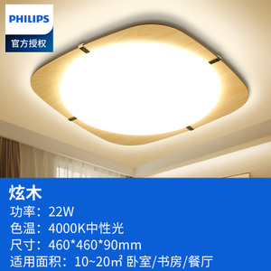 Philips/飞利浦 22W4000K