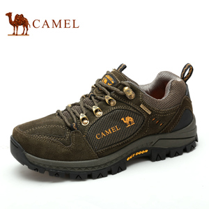 Camel/骆驼 3w330033
