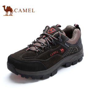 Camel/骆驼 3W330081