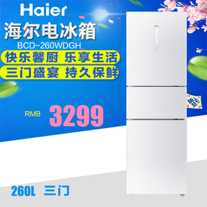 Haier/海尔 BCD-260WDGH