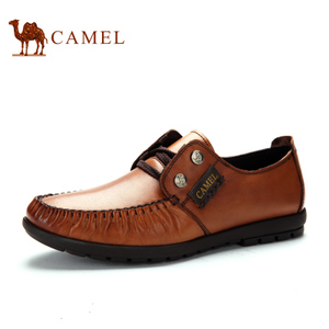 Camel/骆驼 2155247