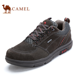 Camel/骆驼 3W330139