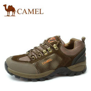 Camel/骆驼 2330055