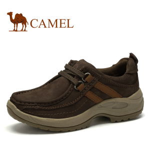 Camel/骆驼 1063007