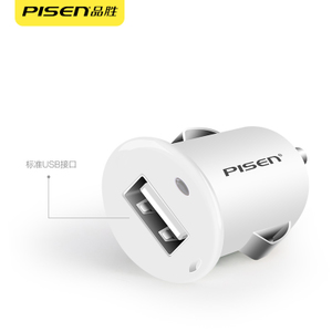 Pisen/品胜 USB-iPad-USB