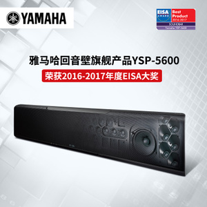 YSP-5600