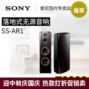 Sony/索尼 SS-AR1