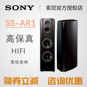 Sony/索尼 SS-AR1