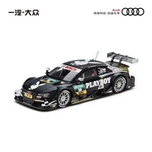 AUDI-RS-5DTM-2014-TAMBAY