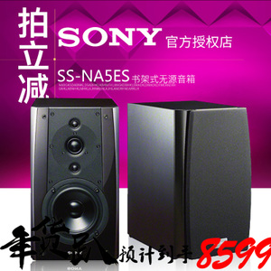 Sony/索尼 SS-NA5ES