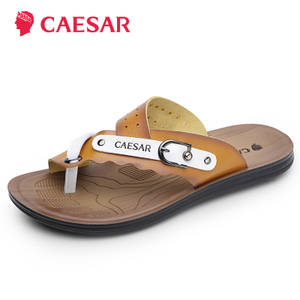Caesar/凯撒大帝 WH466592
