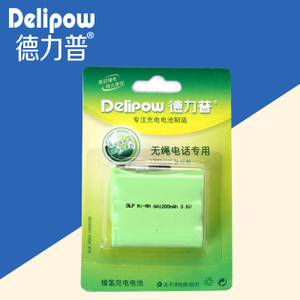 Delipow/德力普 AA12003.6V