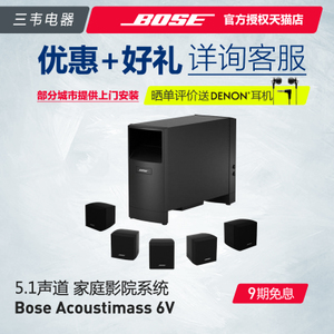 BOSE AM6V